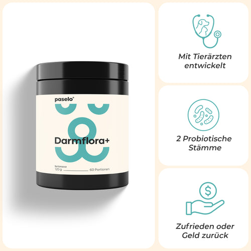 Darmflora+ Probiotika für Hunde