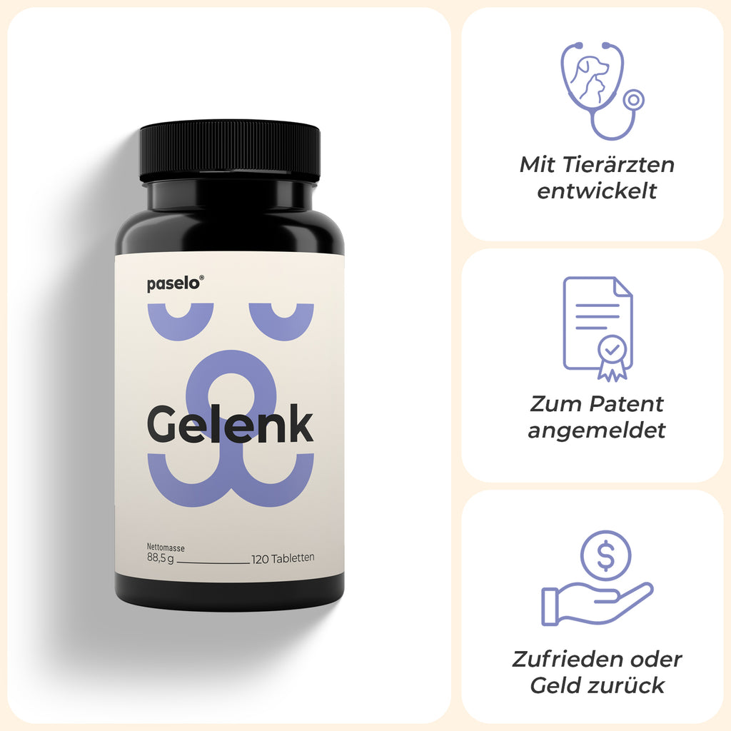 Gelenktabletten für Hunde