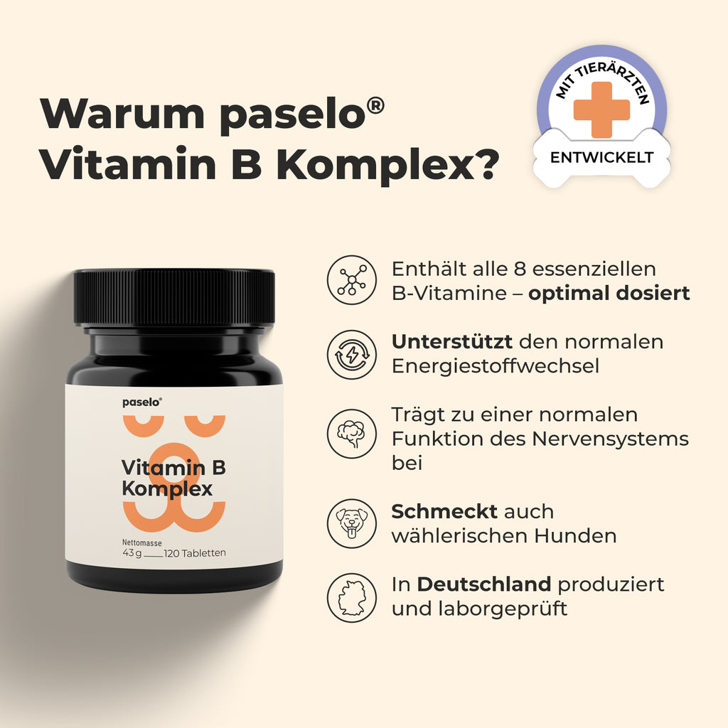 Vitamin B Komplex für Hunde