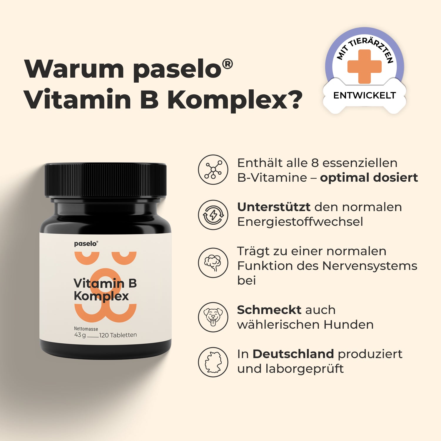 Vitamin B Komplex für Hunde