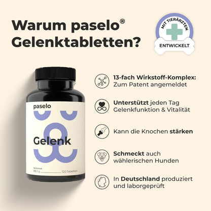 Gelenktabletten für Hunde