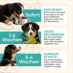 Darmflora+ Probiotika für Hunde