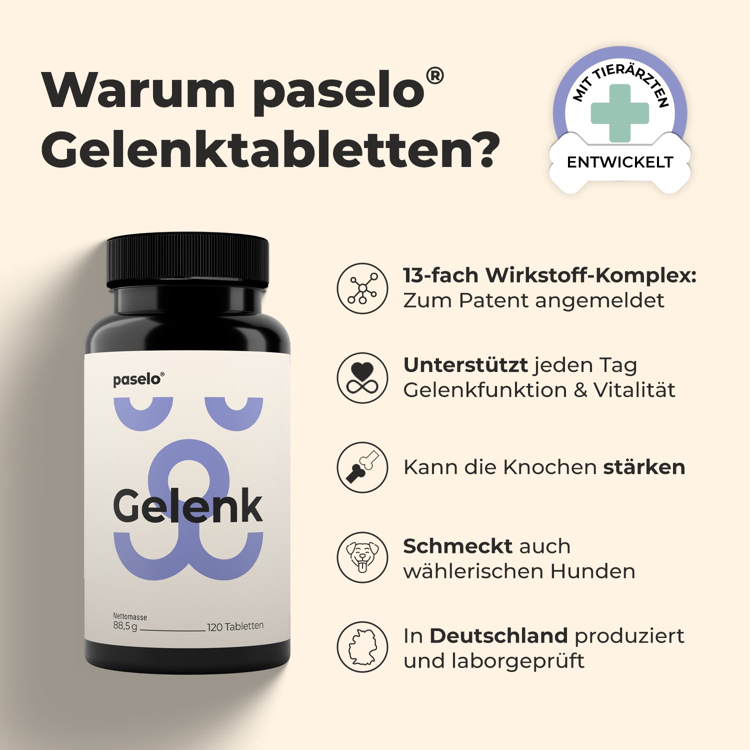 Gelenktabletten für Hunde