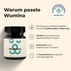 Wumina