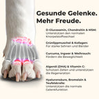 Gelenktabletten für Hunde
