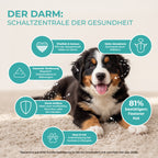 Darmflora+ Probiotika für Hunde