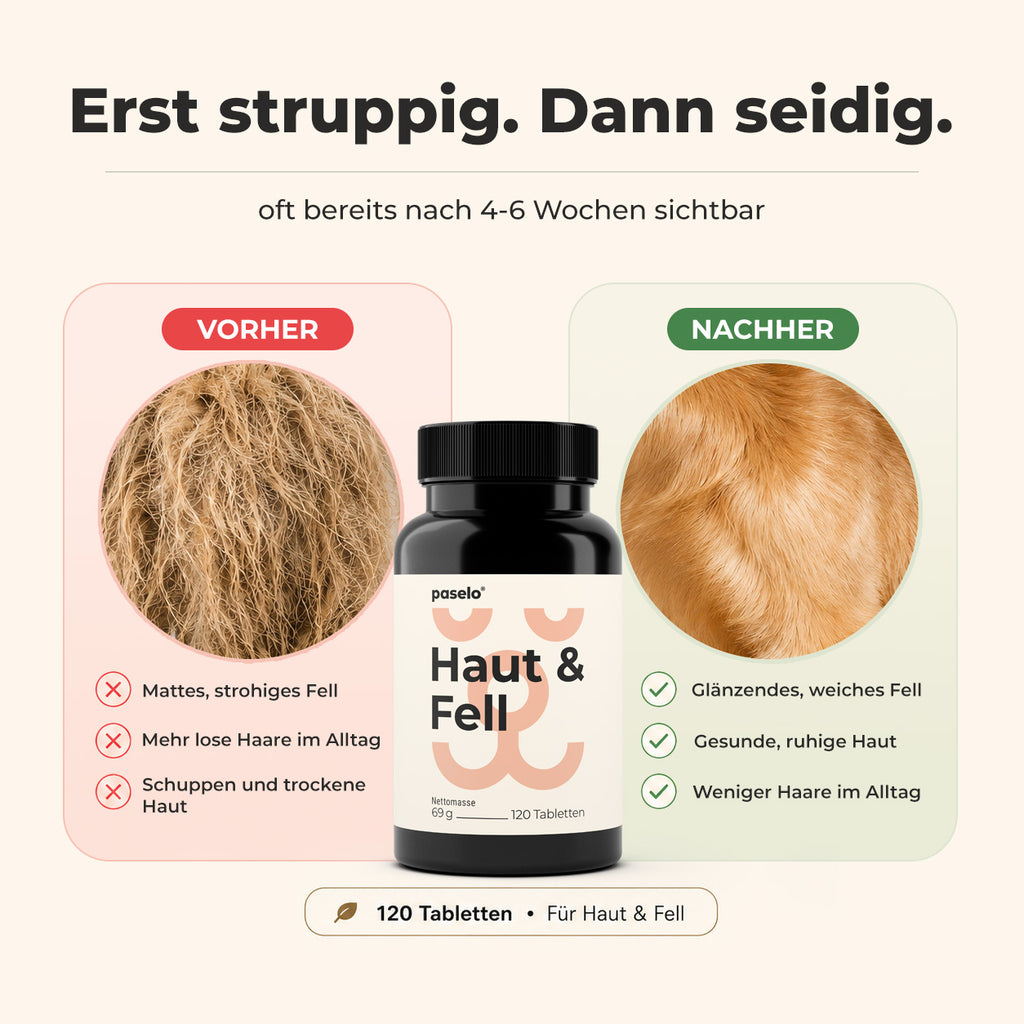 Haut & Fell