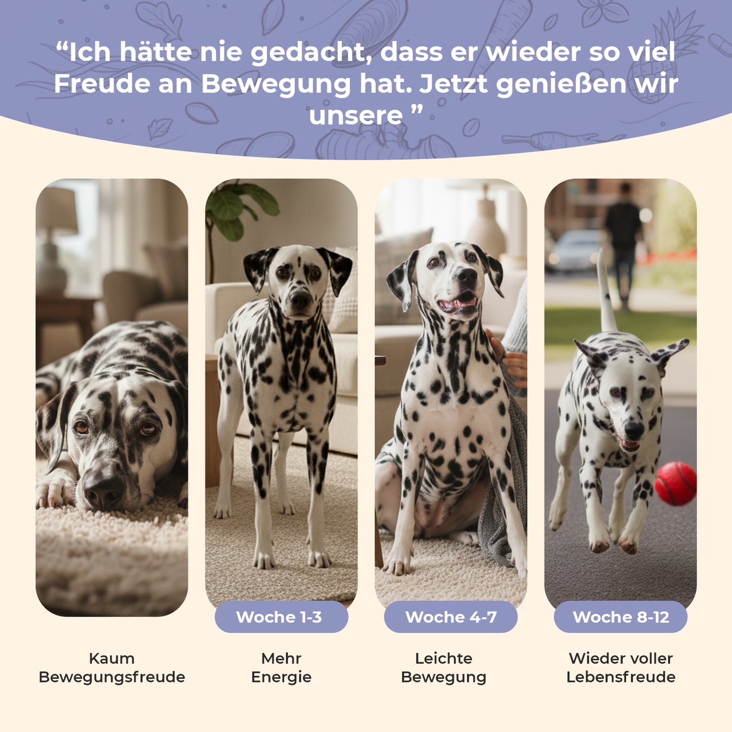 Gelenktabletten für Hunde