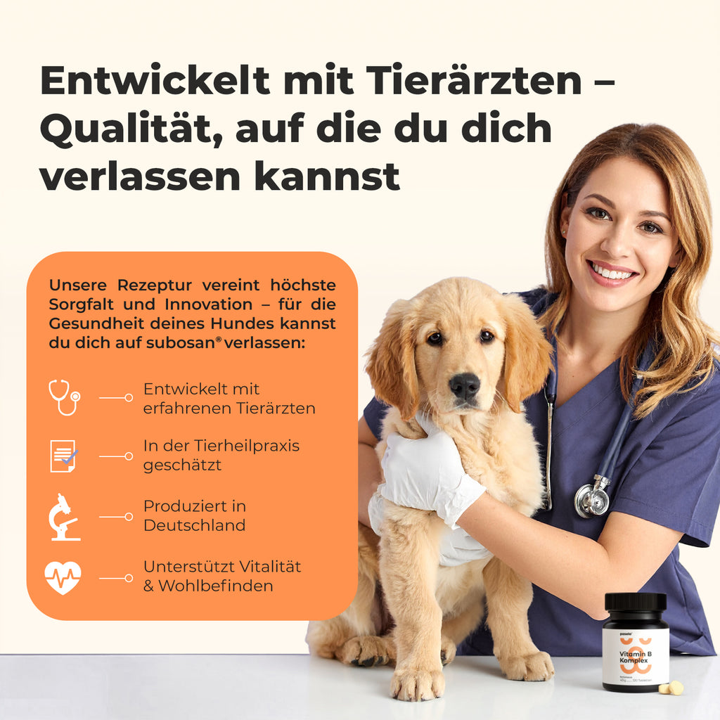 Vitamin B Komplex für Hunde