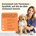 Vitamin B Komplex für Hunde