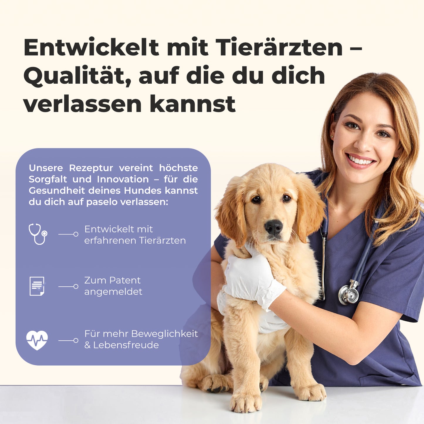 Gelenktabletten für Hunde