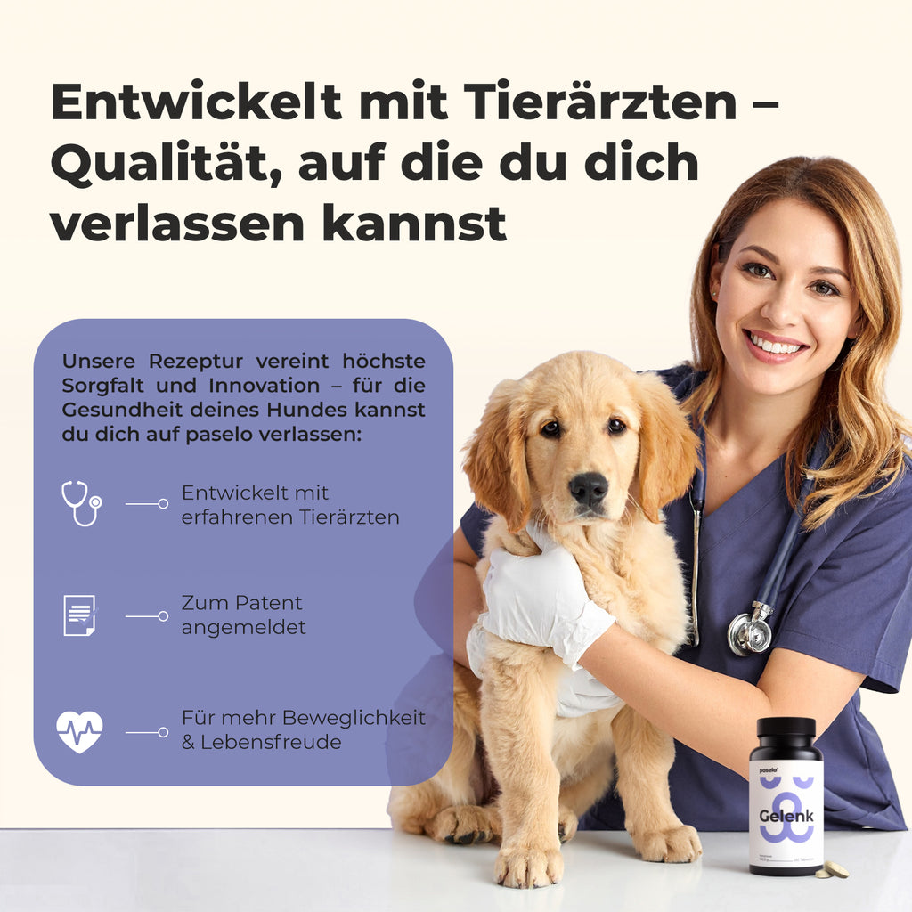 Gelenktabletten für Hunde