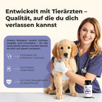 Gelenktabletten für Hunde
