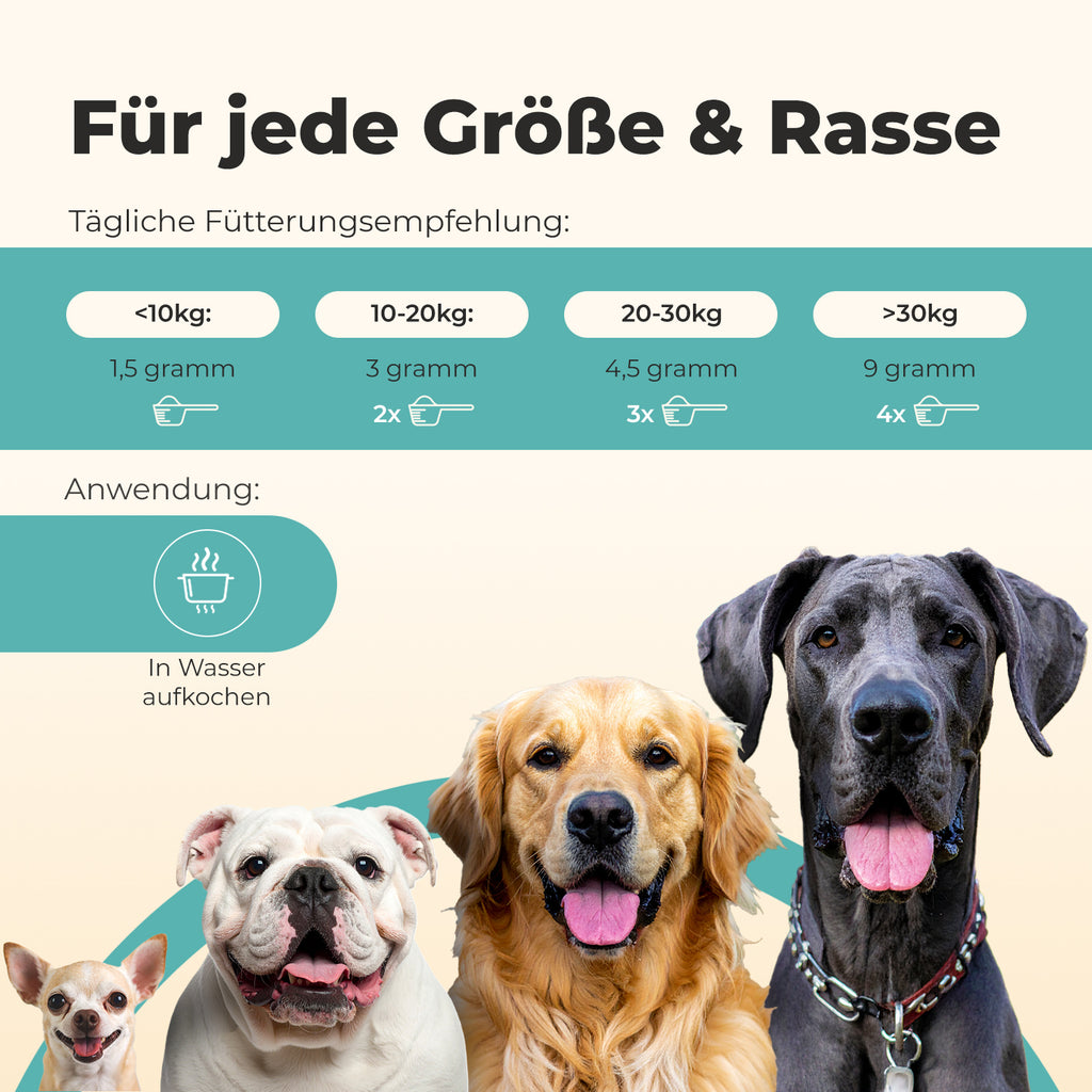 Ulmenrinde für Hunde