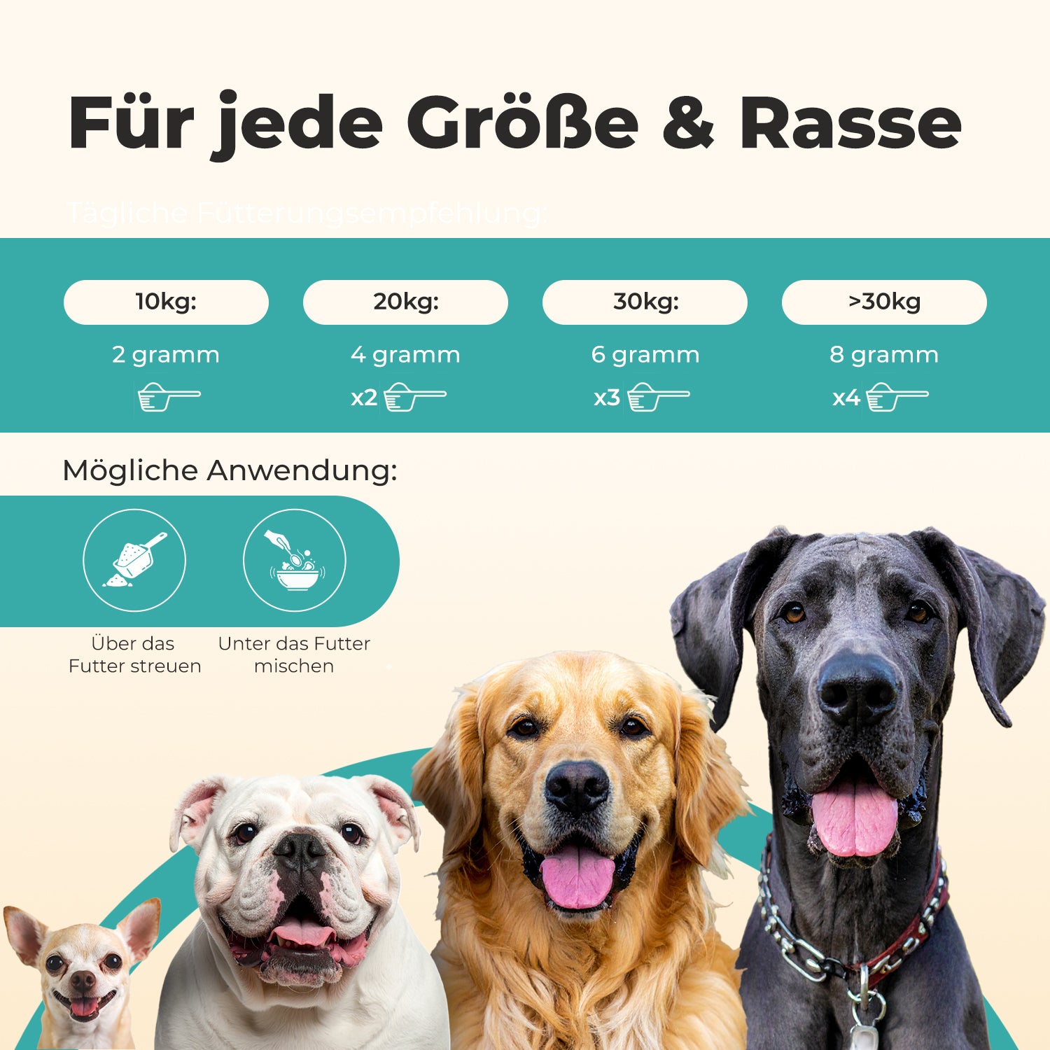 Darmflora+ Probiotika für Hunde