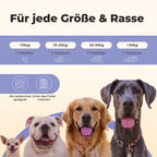 Gelenktabletten für Hunde