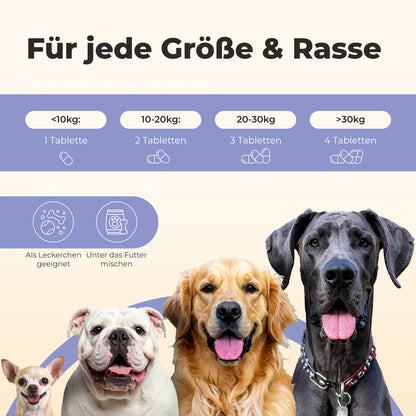 Gelenktabletten für Hunde