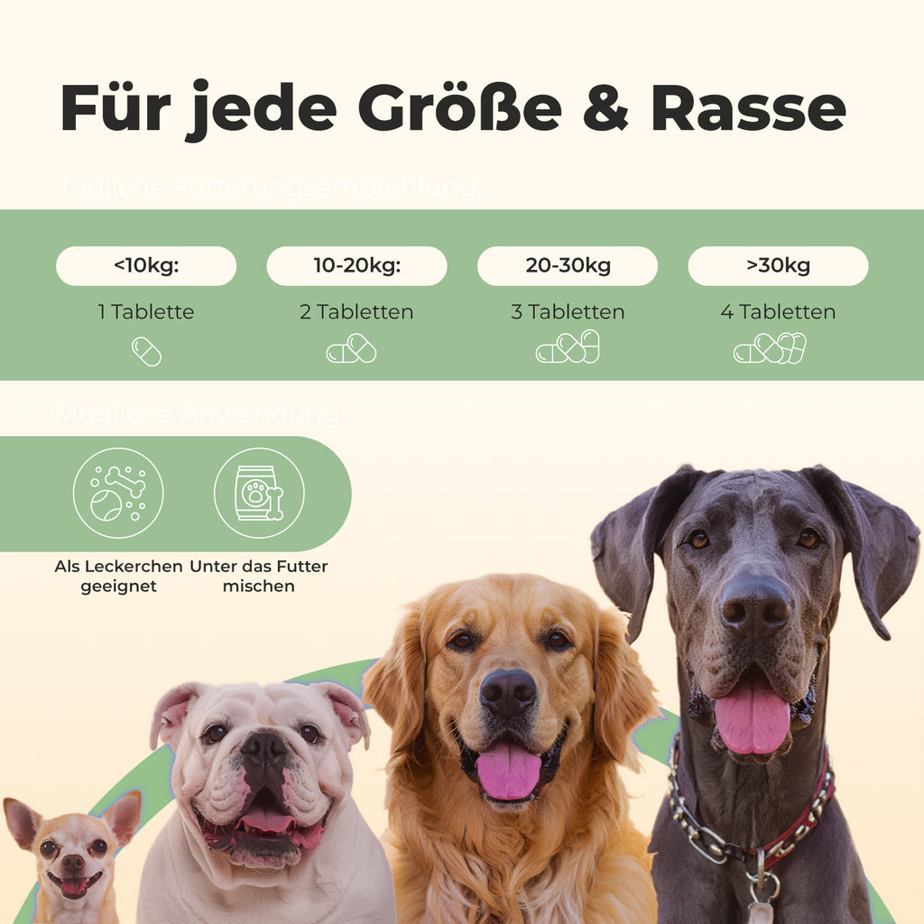 Relax - Beruhigungsmittel für Hunde