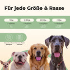 Relax - Beruhigungsmittel für Hunde