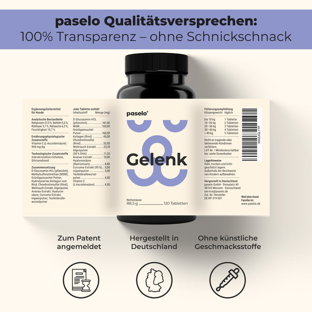 Gelenktabletten für Hunde