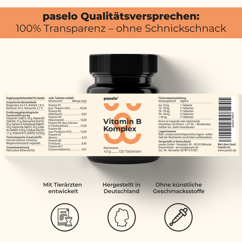 Vitamin B Komplex für Hunde