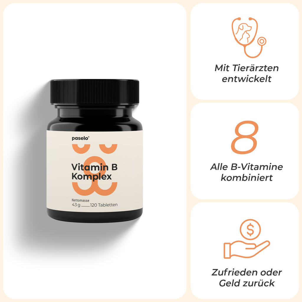 Vitamin B Komplex für Hunde