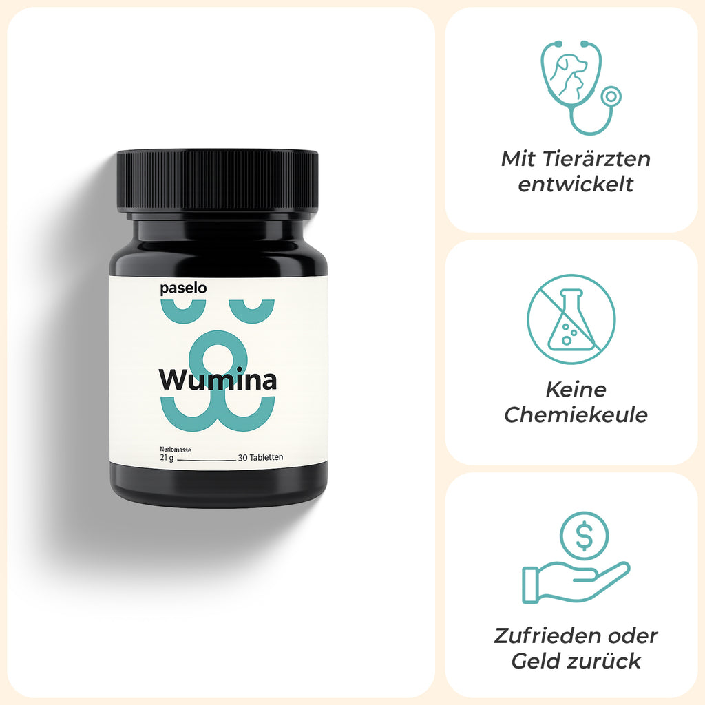 Wumina