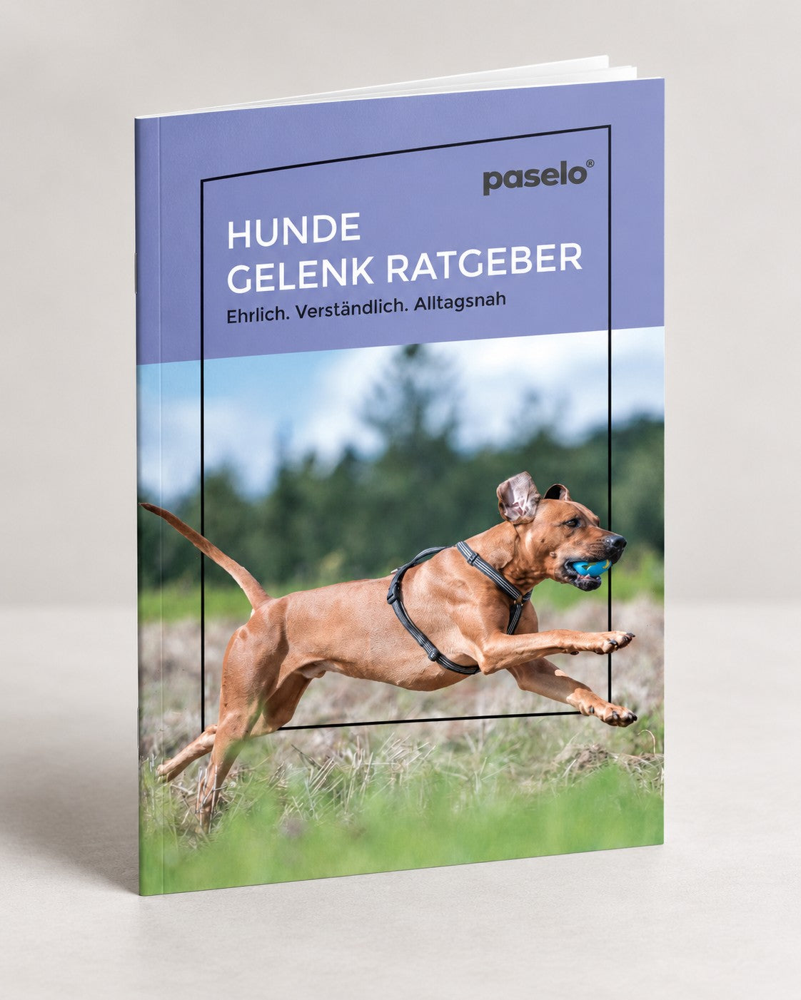 Cover des paselo Gelenkratgebers