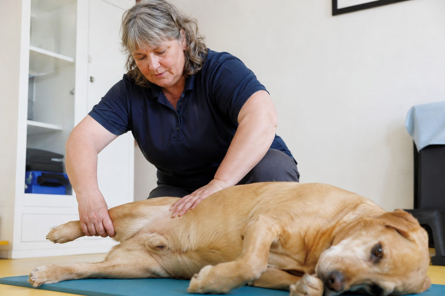 Tierphysiotherapeutin arbeitet mit einem Hund auf der Behandlungsmatte